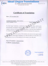 Load image into Gallery viewer, certified-translation-of-documents