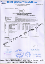 Load image into Gallery viewer, English-to-russian-certified-translation-of-legal-documents