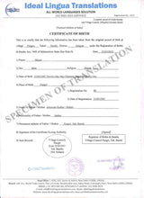 Load image into Gallery viewer, certified-translation-of-documents