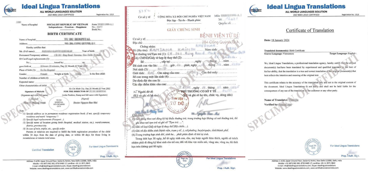 Real example of a Certified English Translation of a Vietnamese Birth Certificate (Giấy Khai Sinh) with official agency stamps for visa and OCI approval.