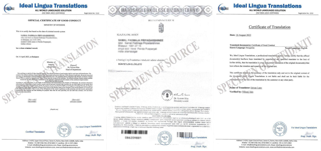 Real example of a Certified English Translation of a Hungarian Certificate of Good Conduct (Erkölcsi Bizonyítvány) with official agency stamps for visa and employment approval.