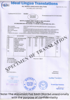 English-to-russian-certified-translation-of-legal-documents